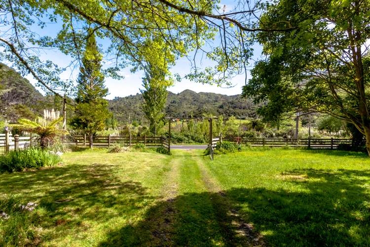 324 Tapu Coroglen Road Tapu_23