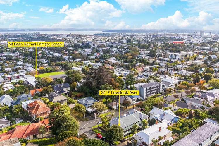 3/17 Lovelock Avenue Mount Eden_24