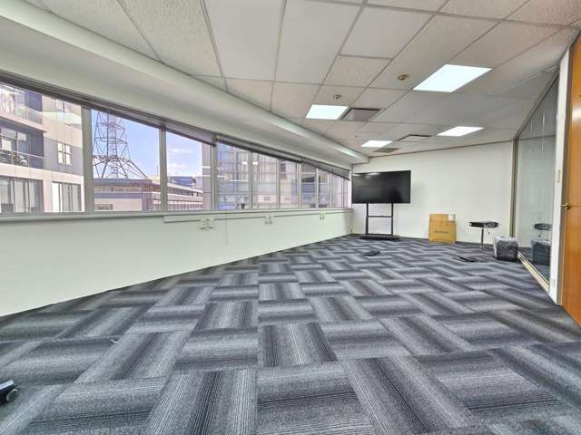 60 Airedale Street Auckland Central_2