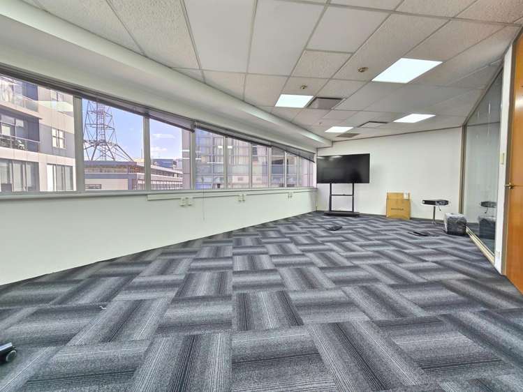 60 Airedale Street Auckland Central_2