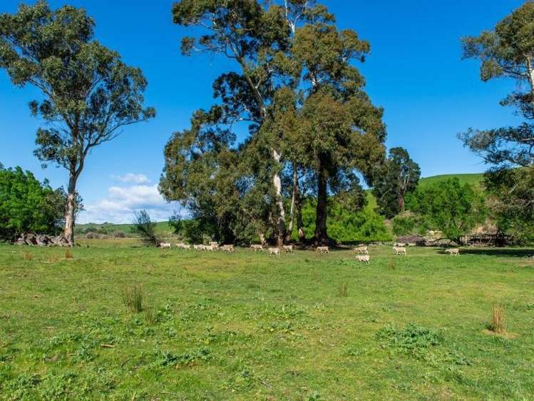 264 Hawkesbury Road Hawkesbury_19