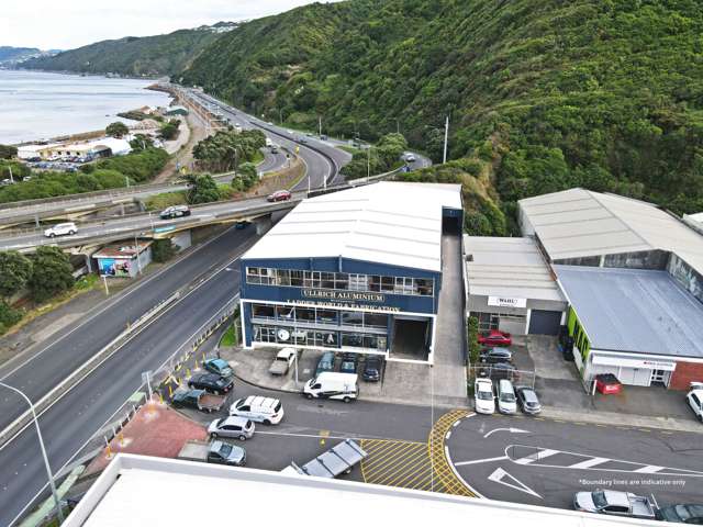 2 Cornish Street Petone_1