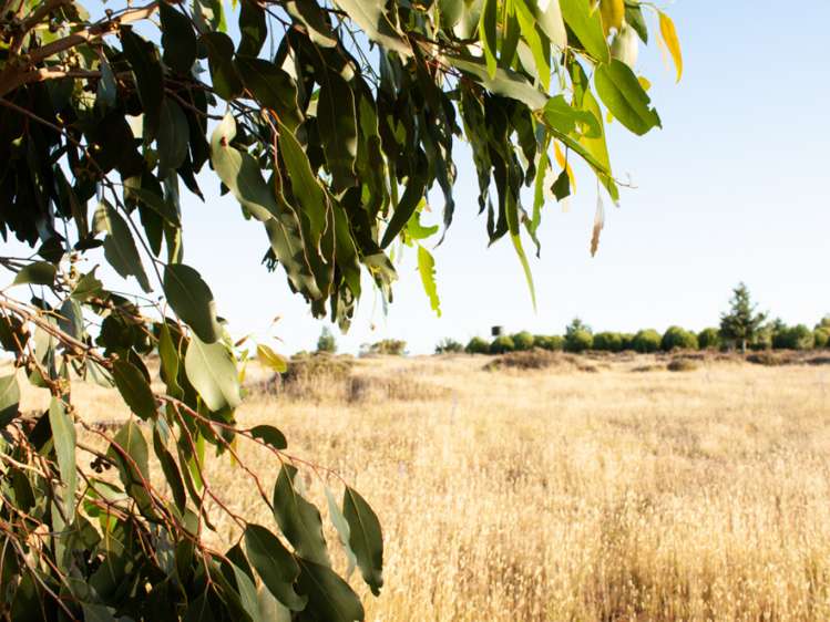 46 Edgewater Place Rarangi_9