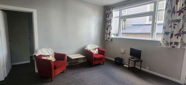 41A Ohiro Road Aro Valley_4