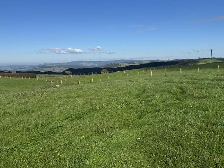 Lot 1 Pekanui Road Rd 6 Te Awamutu_7