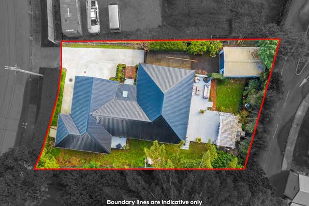 11 Alamein Road Panmure_1