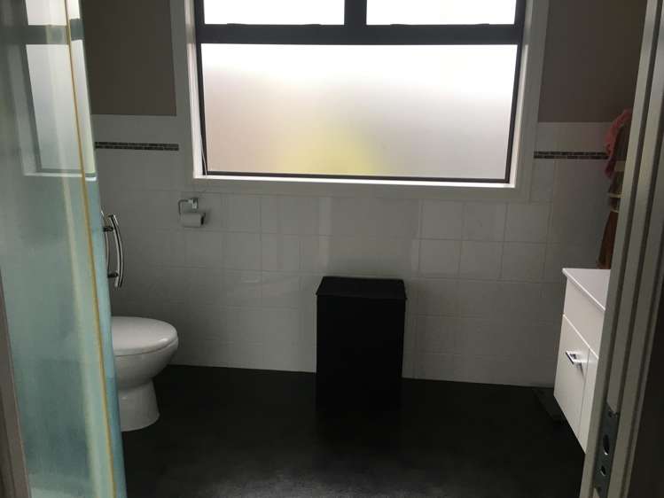 14a Alexandra Avenue Morrinsville_9