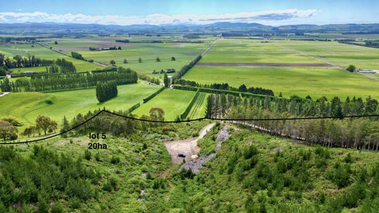 Lot 5 Gaudion Road, Peebles Oamaru_5