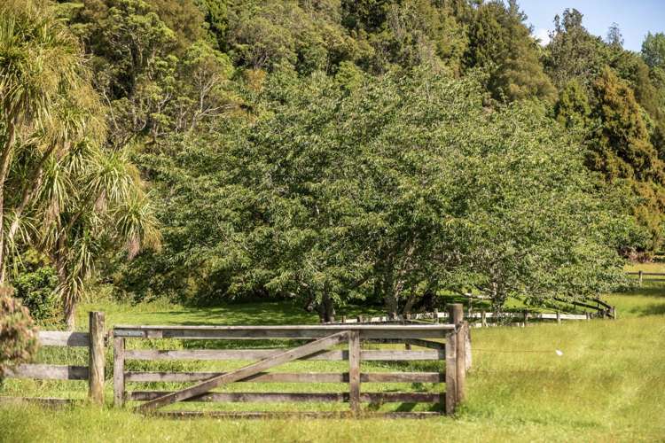 209 Franklin Road Waihi_35