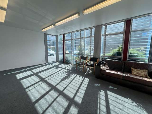 10B Burrett Avenue Penrose_3