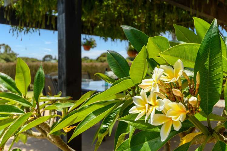 46 Carrington Drive Papamoa_6