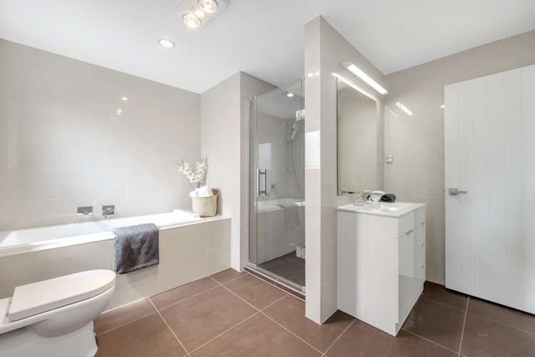 32 Helianthus Avenue Flat Bush_16