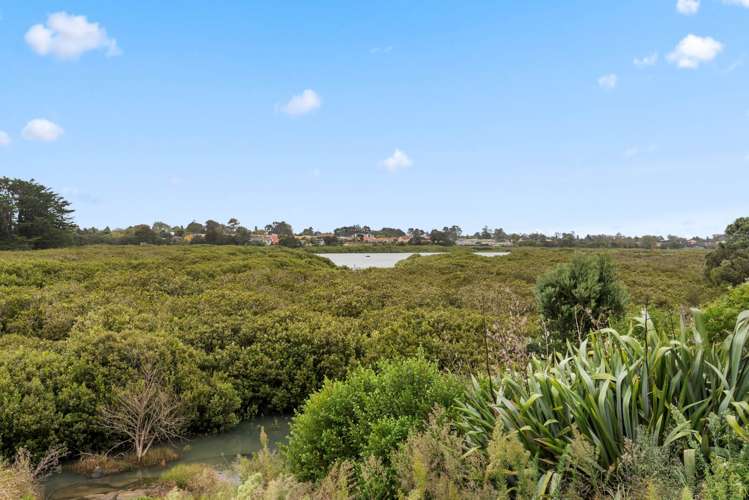 86 Matawhanga Drive Wattle Downs_21