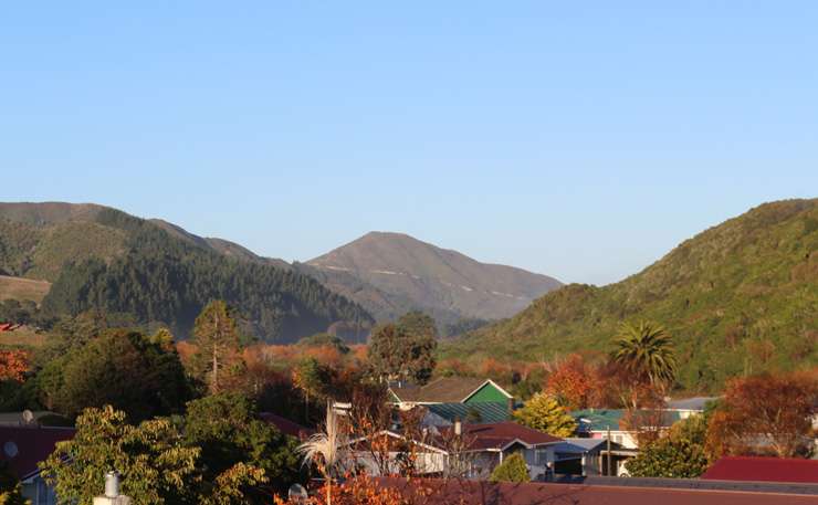 Houses in Petone, in Lower Hutt