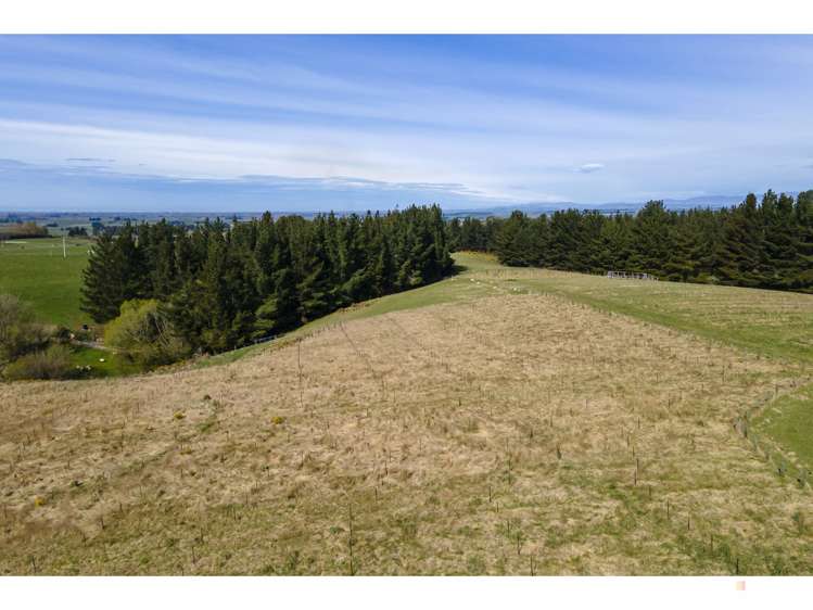 Downs Road Geraldine_1