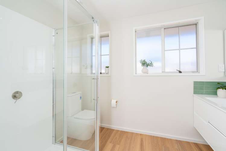 38 Young Street Somerfield_18