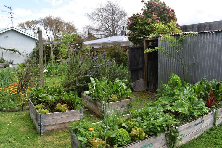 2 Rexwood Street Carterton_16