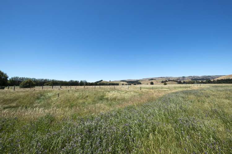 855 Omihi Road Omihi_12