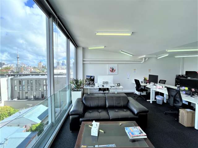 17 Falcon Street Parnell_1