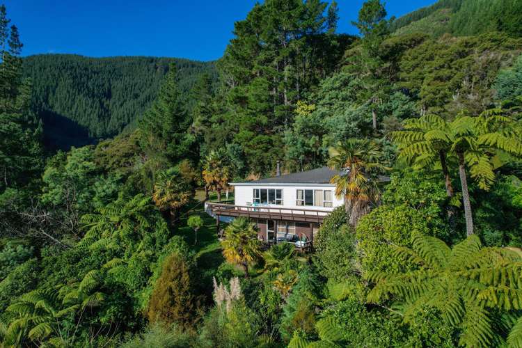 873 Kenepuru Road Mahau Sound_20