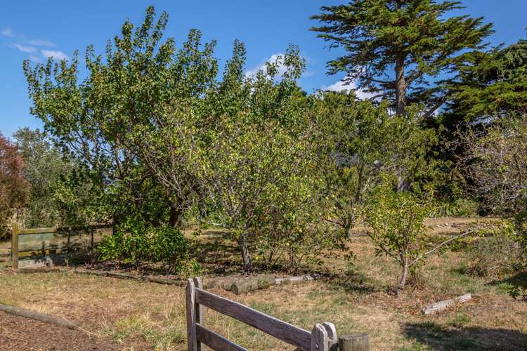 161 Boundary Road Tauwharenikau_21