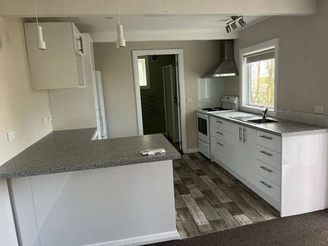 Fully Renovated 1-Bedroom Downstairs Flat