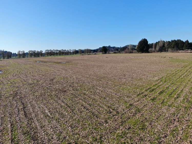 State Highway 3 Te Kuiti_13