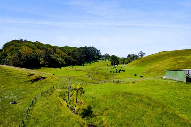 310 Henwood Road Bell Block_4