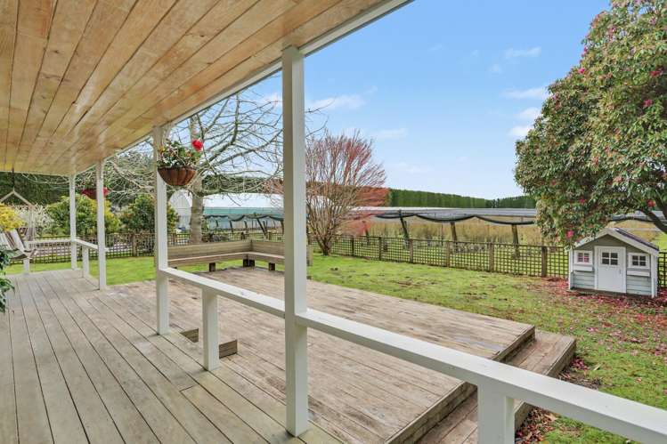 1040 Te Matai Road Te Puke_10