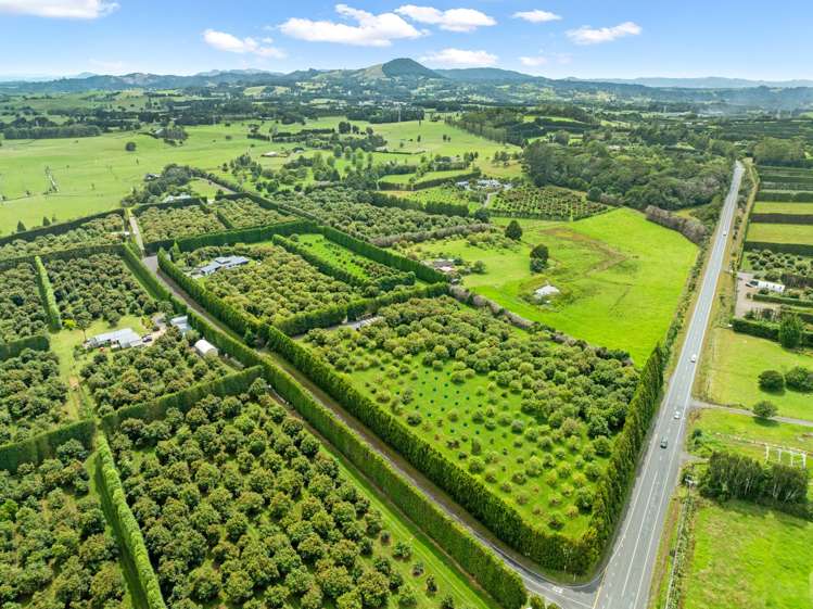 36 Watrous Downs Maungatapere_31