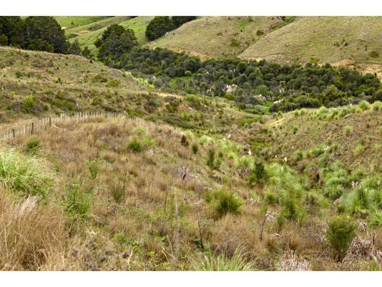 47 Haul Road Tahekeroa_22