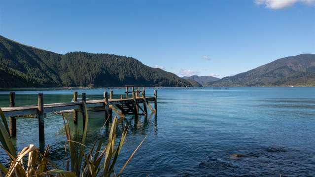 Little Nikau Bay Kenepuru Sound_1