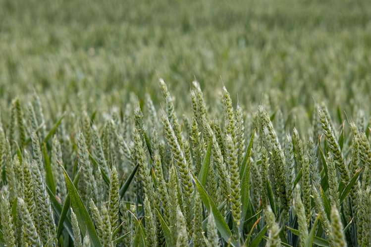 Address withheld Windsor_33