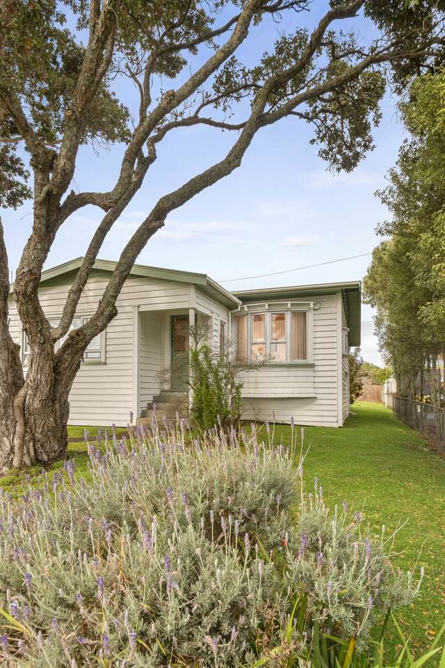 22 Jersey Avenue Mount Albert_2