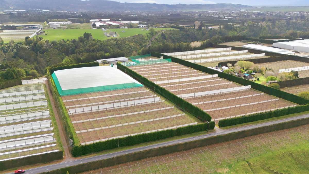 364 Te Matai Road_1