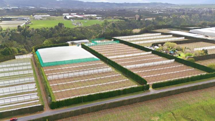 364 Te Matai Road Te Puke_5