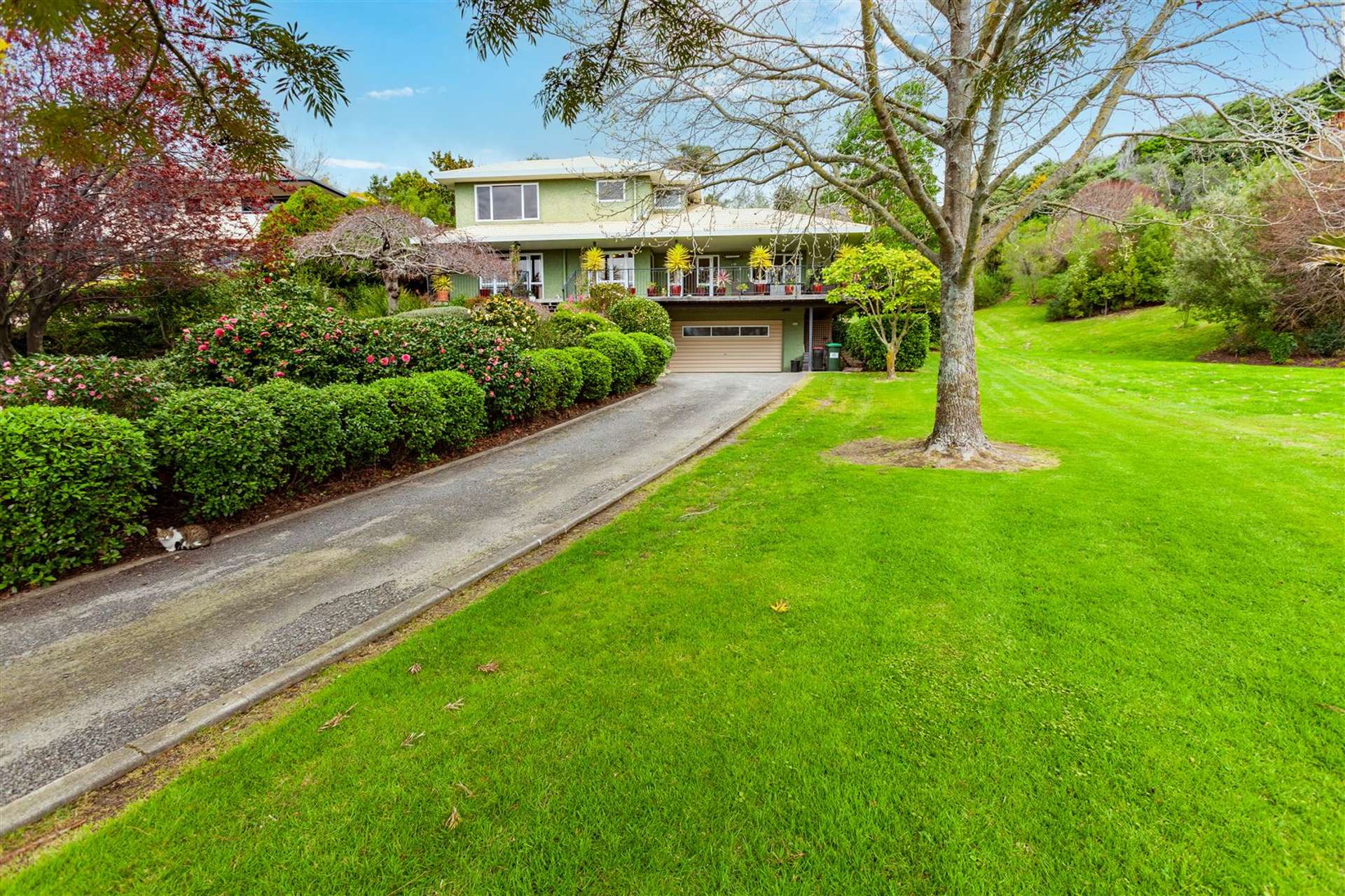 43 Hetley Crescent Taradale_0