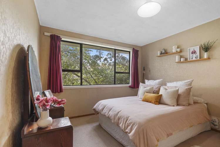 11 Thomson Avenue Dinsdale_12