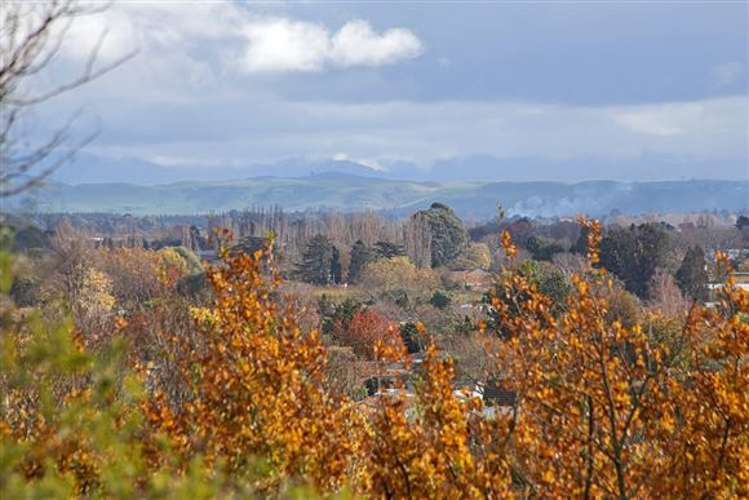 59b Joll Road Havelock North_14