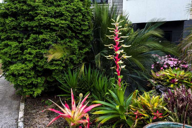 494 Mangakahia Road Maungatapere_33