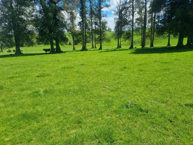 Kahuwera Road Piopio_3