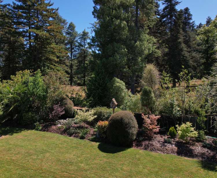 16 Robinson Street Cheviot_21