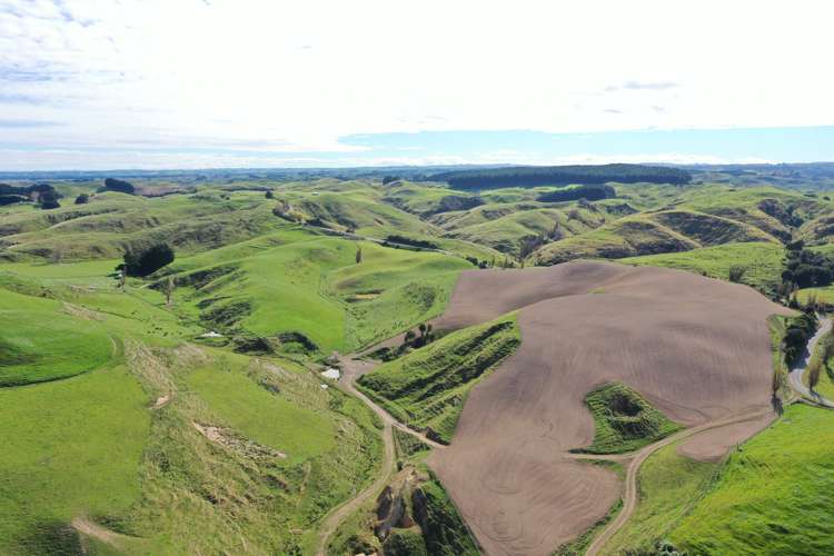 810 Spur Road Ashhurst_9