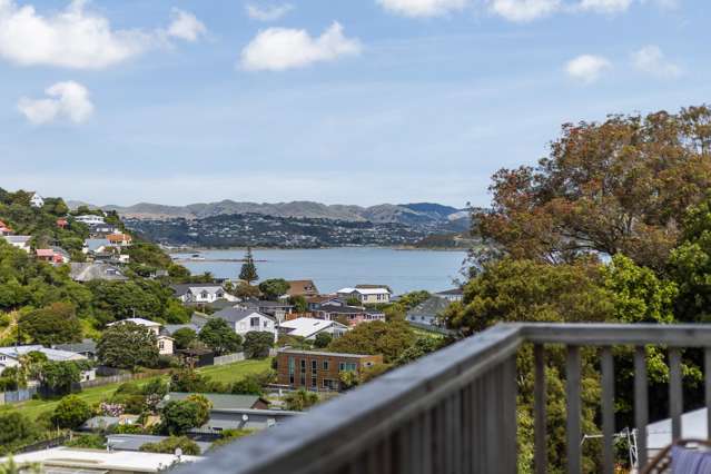 31 Airlie Road Plimmerton_1