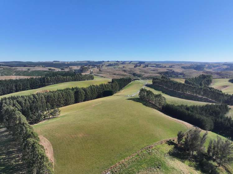 341 Table Hill Road Milton_14