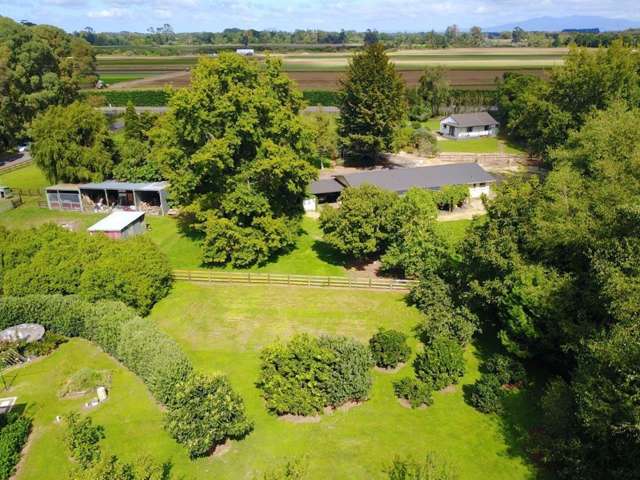 702a Bruntwood Road Tamahere_2