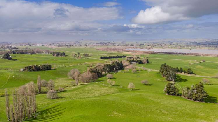 352 Hatuma Road Waipukurau and Surrounds_13