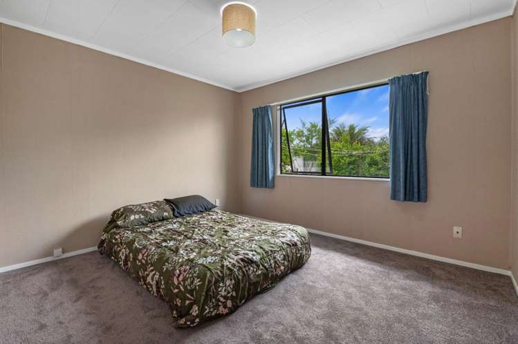 19 South Road Mamaku_7