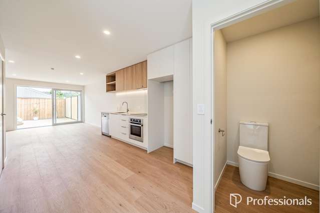 75 Pretoria Street Lower Hutt Central_1