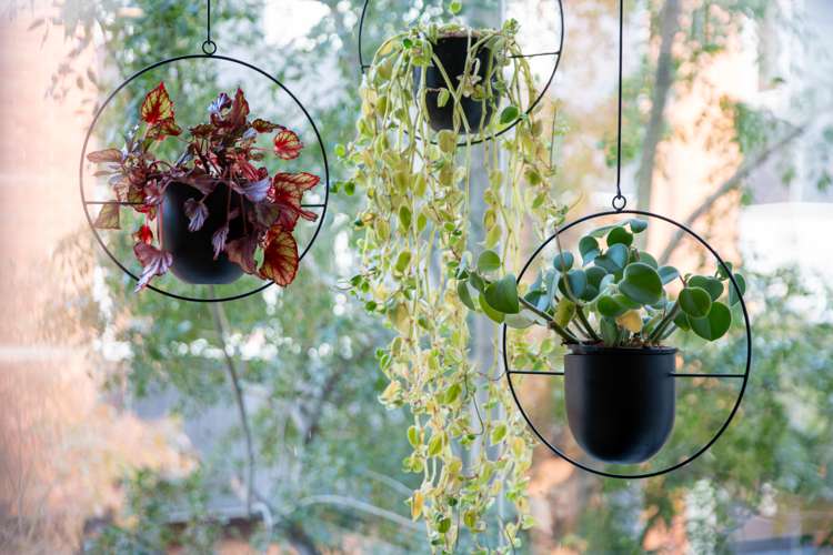 36/120 Rintoul Street Newtown_5